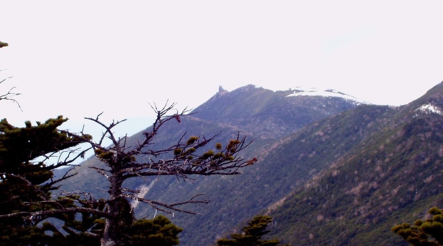 大弛峠からの金峰山