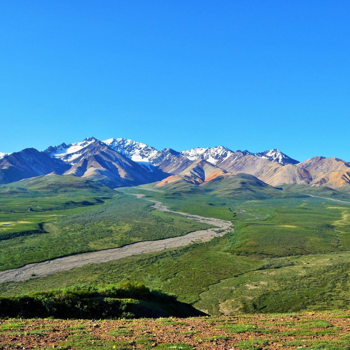 PARK ROAD (Denali National Park and Preserve) All You Need to Know