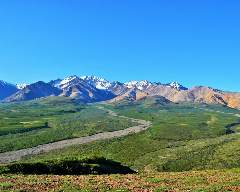 The 15 Best Things To Do In Denali National Park And Preserve