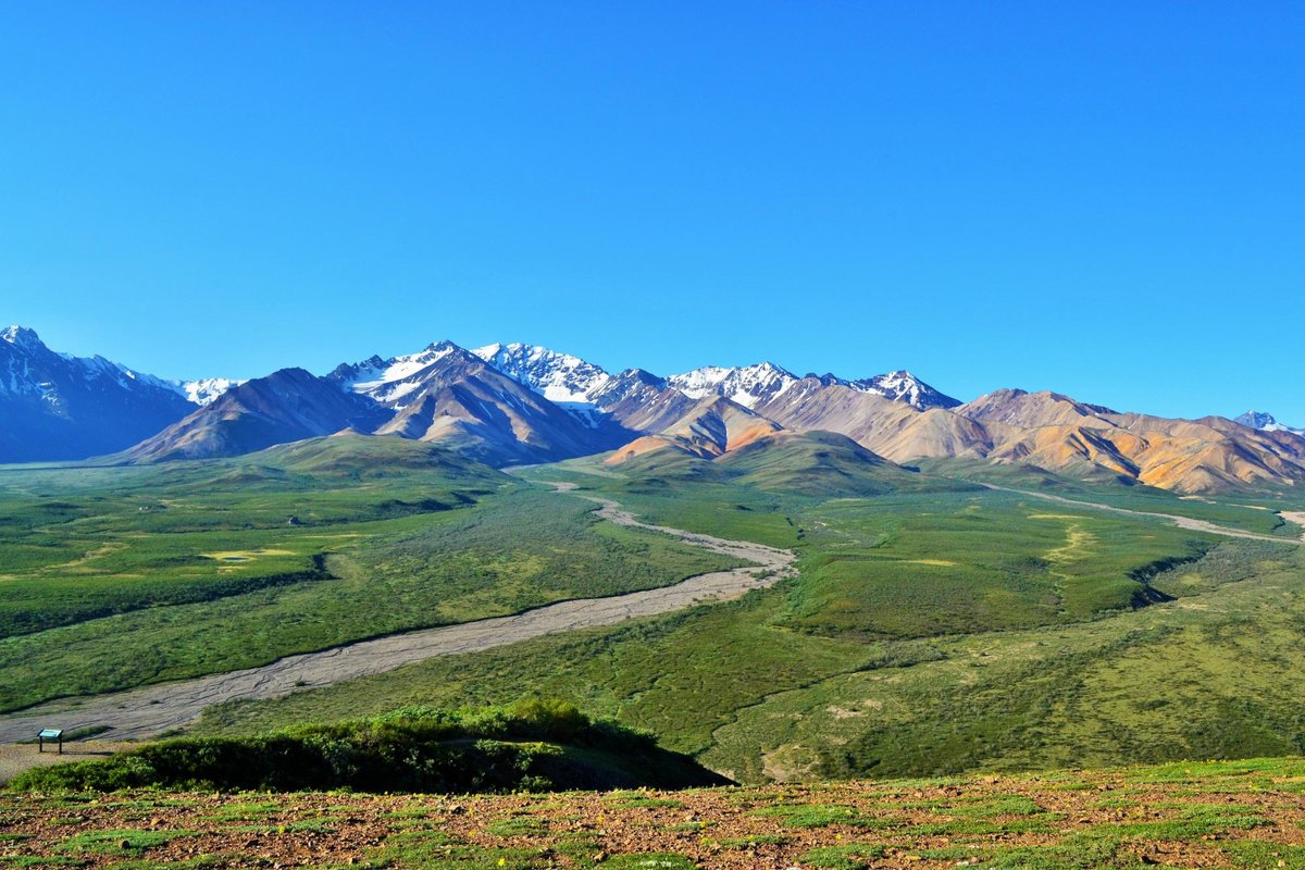 Navigating the Parking Maze: Your Guide to Denali National Park Parking