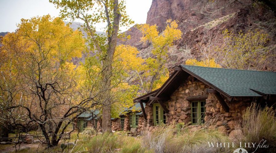 The cabins