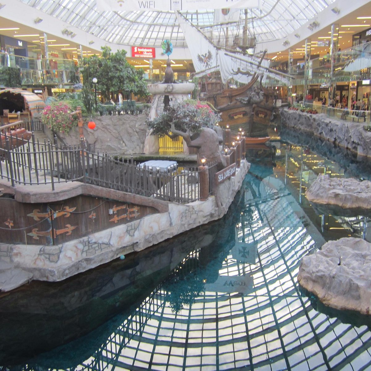 Deep Sea Adventures Edmonton 21 All You Need To Know Before You Go With Photos Tripadvisor Deep Sea Adventures Edmonton 21 All You Need To Know Before You Go With Photos Tripadvisor