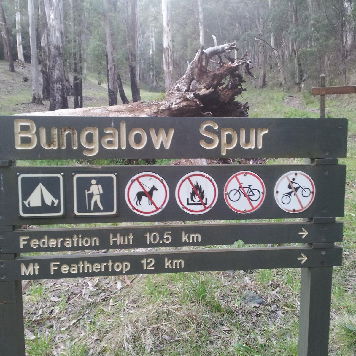 Bungalow Spur Hiking Trail (Harrietville) 2021 Alles wat u moet weten