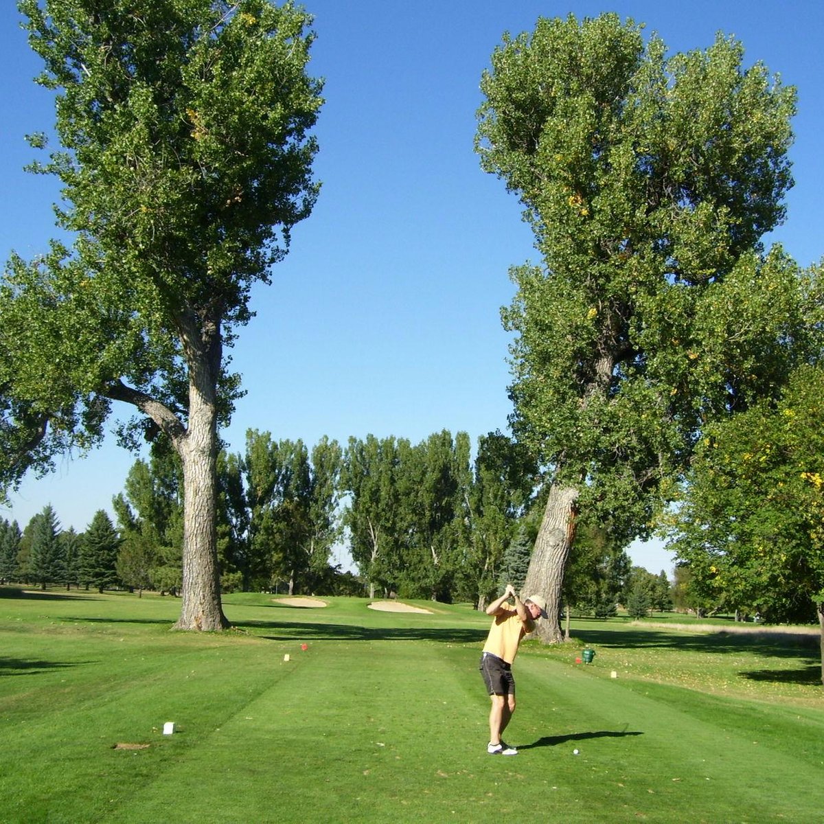 COLLINDALE GOLF COURSE (Fort Collins) Tutto quello che c'è da sapere