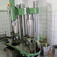 Ölpresse