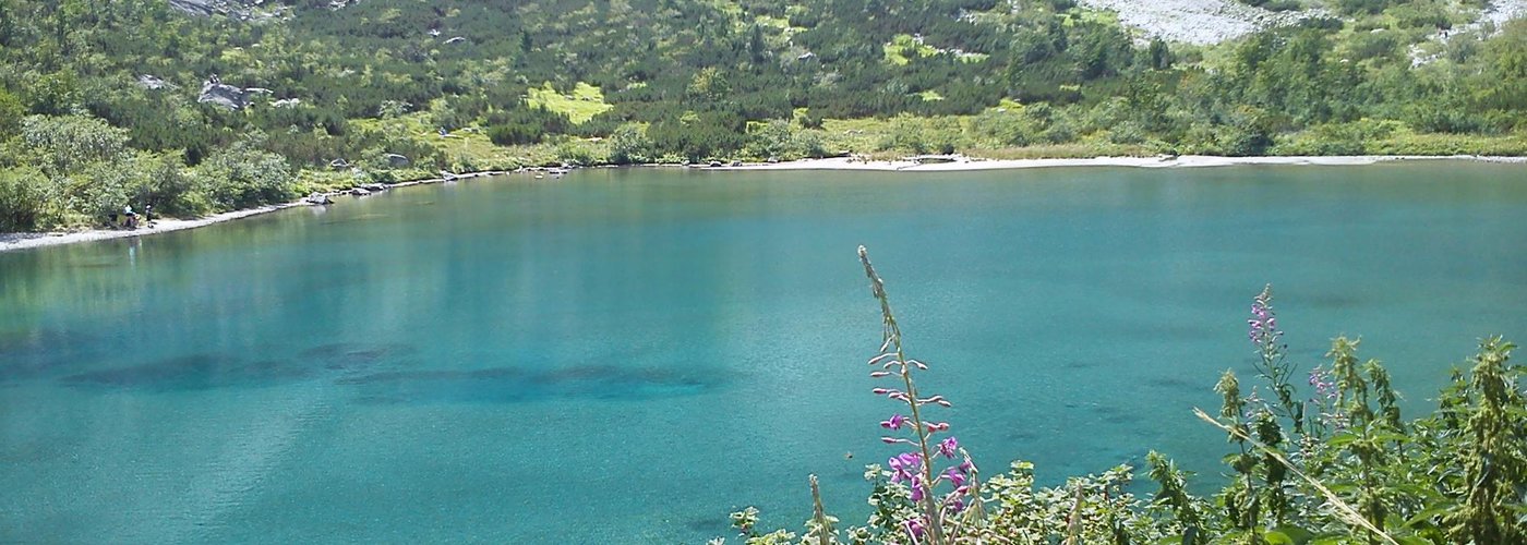 Pleso