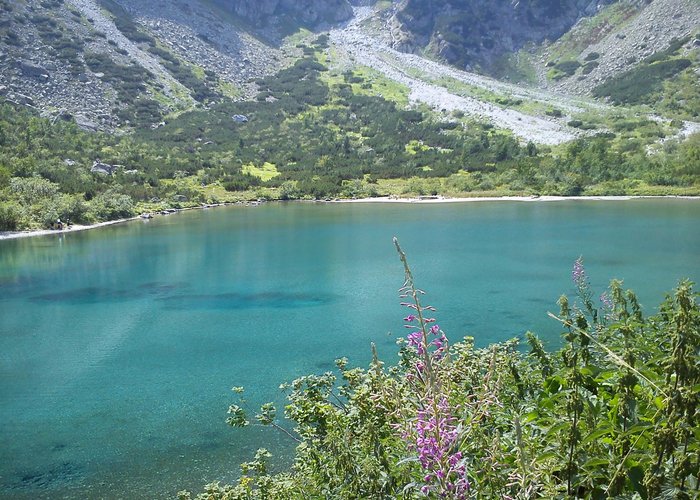 Pleso