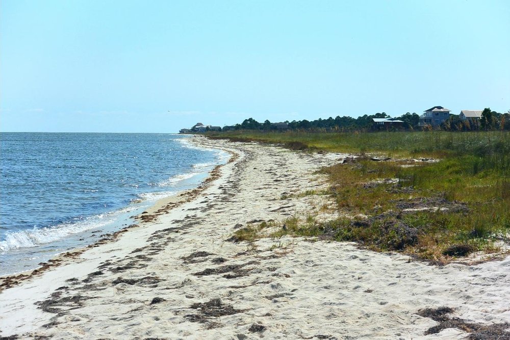 Alligator Point 2021: Best of Alligator Point, FL Tourism - Tripadvisor