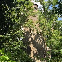 This is the famous shot tower in Crane Park - near the island nature reserve