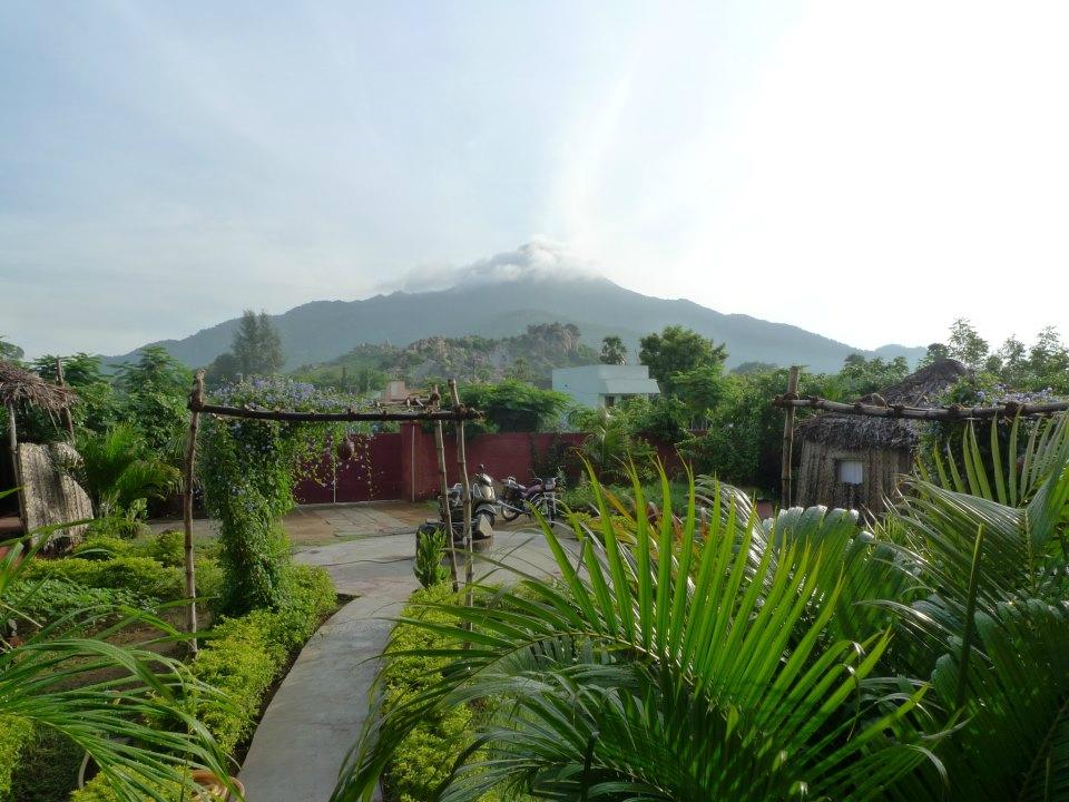 Hotel photo 3 of Sunshine Guest House.