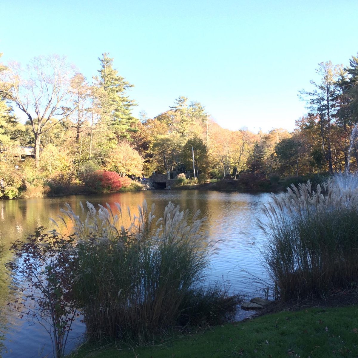 Memorial Park, Blowing Rock