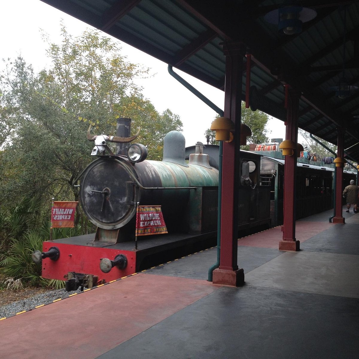 Wildlife Express Train (Orlando) - All You Need to Know BEFORE You Go Wildlife Express Train (Orlando) - All You Need to Know BEFORE You Go