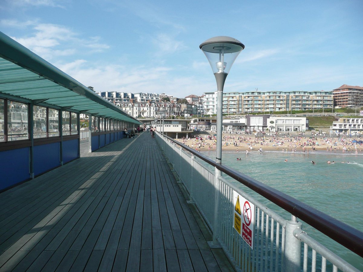 is boscombe beach dog friendly