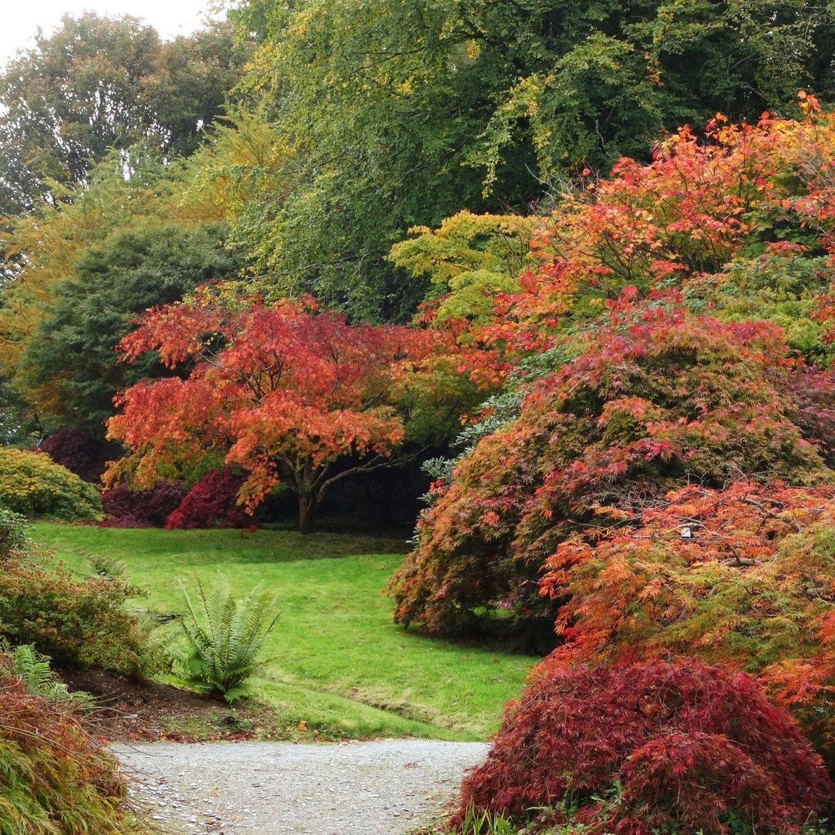 THE GARDEN HOUSE (Yelverton) - All You Need to Know BEFORE You Go