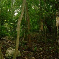 Tree Garden Nature Trail