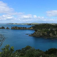 View from one of the individual walks on Waiheke Island