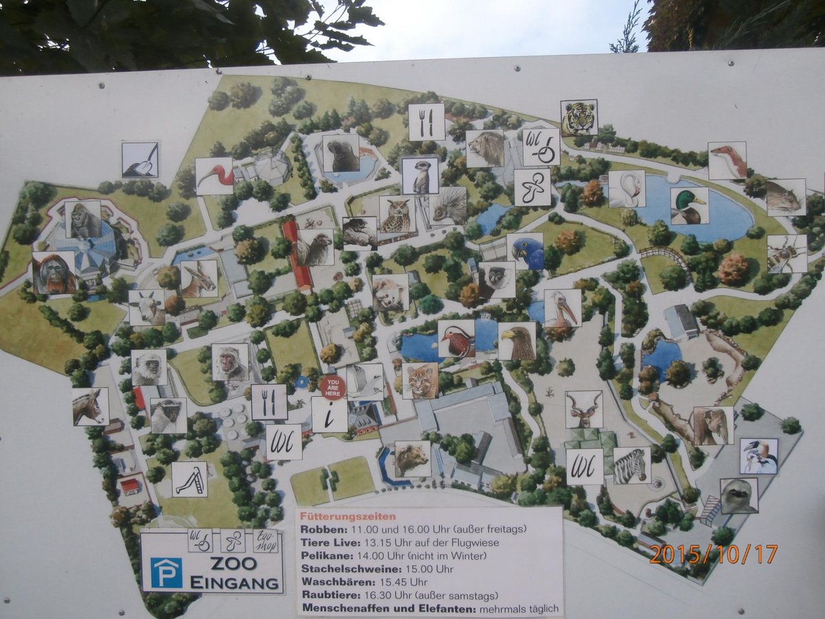 Zoo Heidelberg, Гейдельберг: лучшие советы перед посещением - Tripadvisor