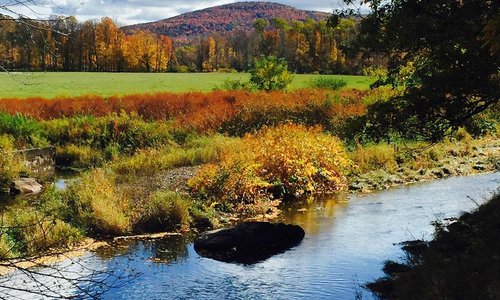 Windham 2021: Best of Windham, NY Tourism - Tripadvisor