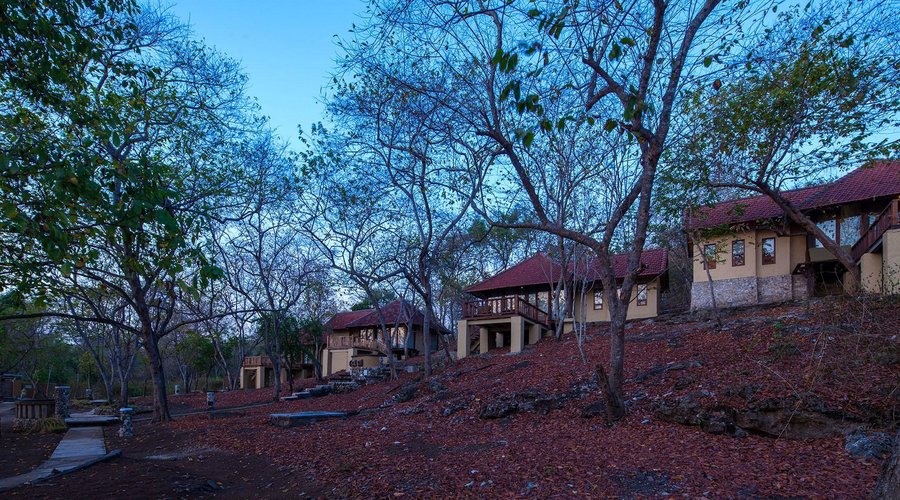 Jungle Lanai Cottage
