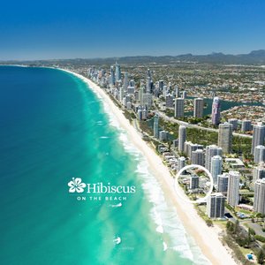 Position of Hibiscus on the Beach