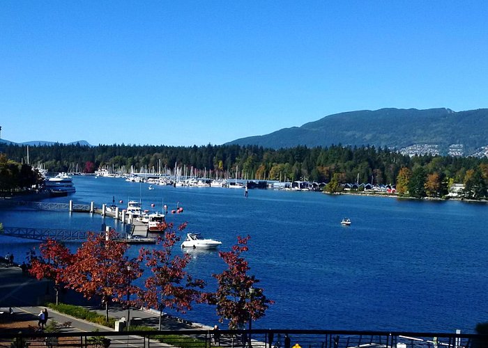 Coal Harbour, British Columbia 2024 Best Places to Visit Tripadvisor