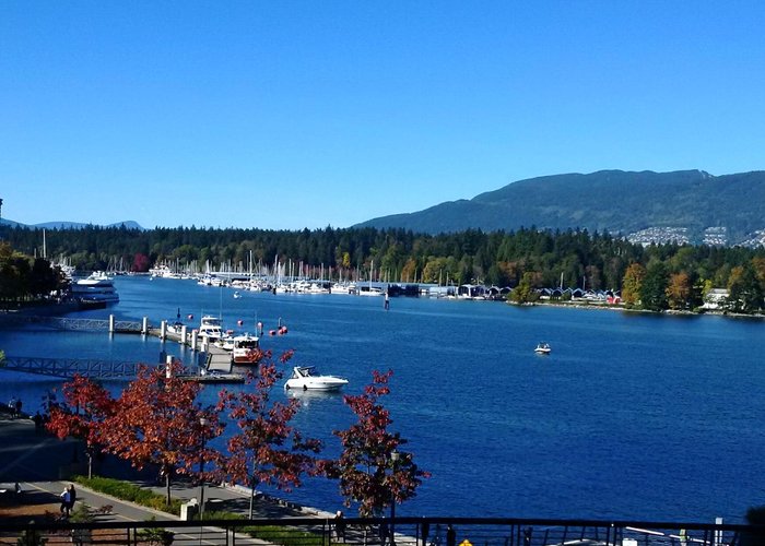 Coal Harbour, British Columbia 2024 Best Places to Visit Tripadvisor