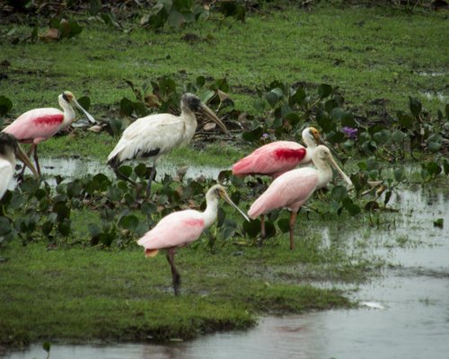 THE 10 BEST Brazil Scenic Drives (with Photos) - Tripadvisor