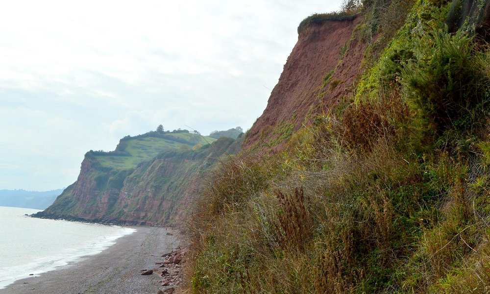 Shaldon Tourism and Holidays: Best of Shaldon, England - Tripadvisor