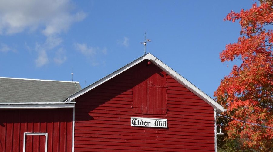 Store