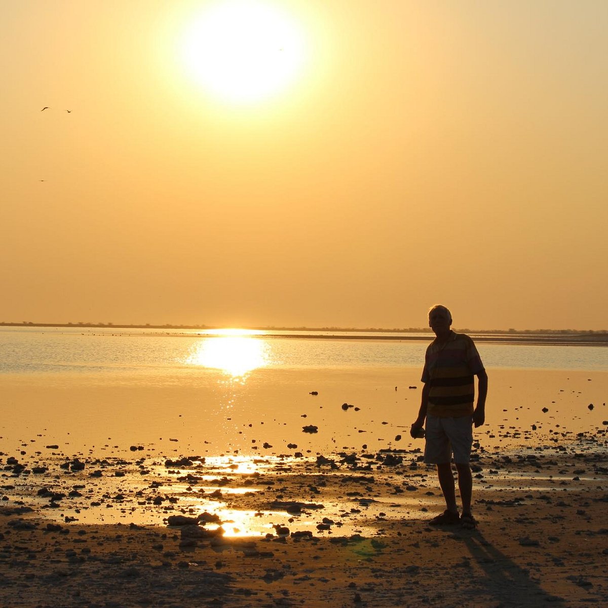 https://dynamic-media-cdn.tripadvisor.com/media/photo-o/09/44/99/4e/makgadikgadi-salt-pan.jpg?w=1200&h=1200&s=1