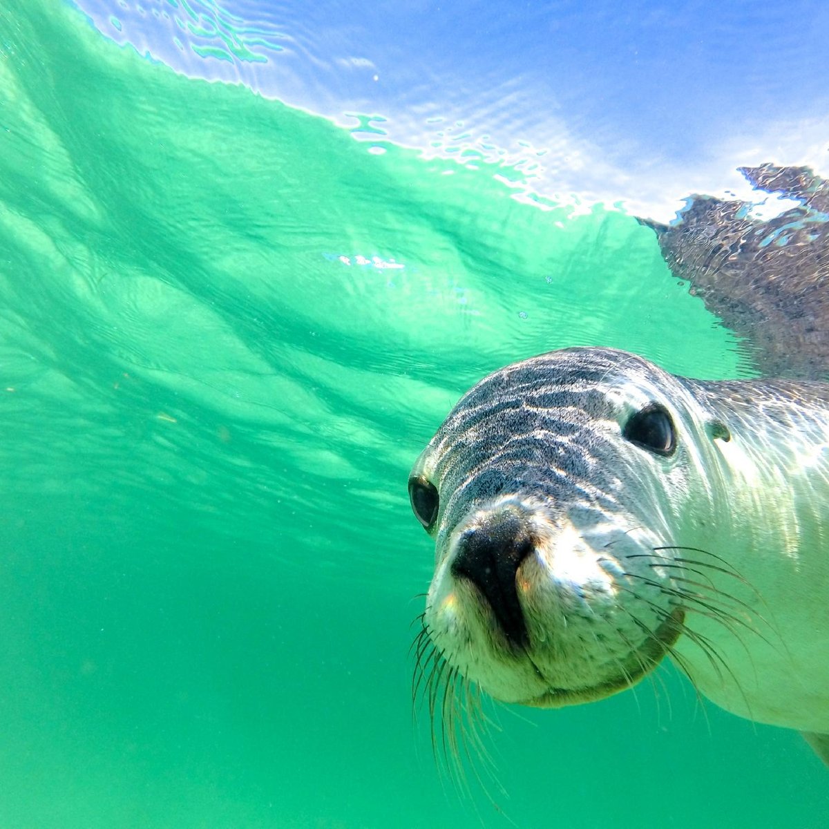 turquoise-coast-visitor-centre-jurien-bay-2022-what-to-know-before