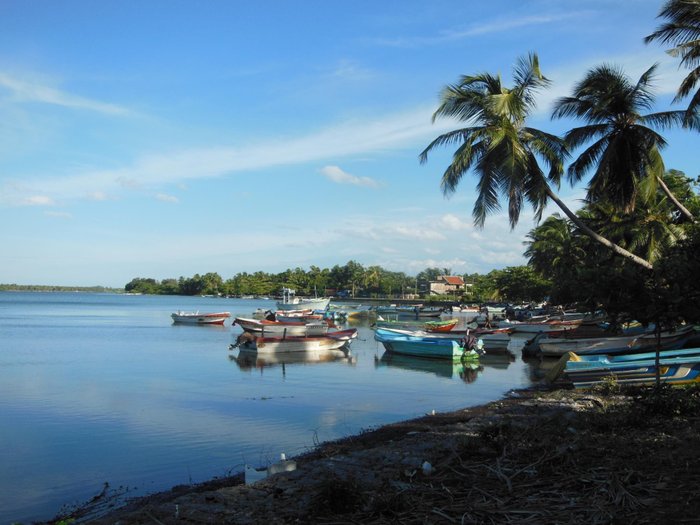 White Doe Hotel - Guest House Reviews (batticaloa, Sri Lanka)