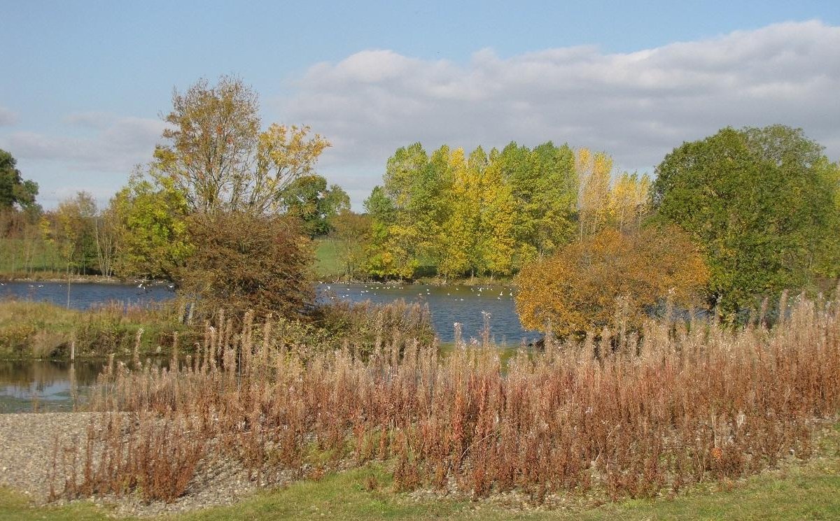 Marfield Wetlands Nature Reserve Masham All You Need To Know