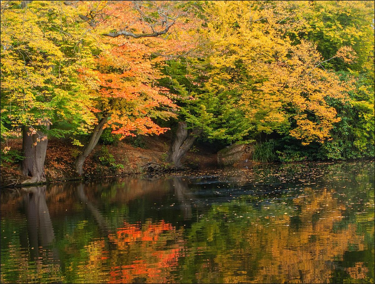 Danbury Country Park - All You Need to Know BEFORE You Go