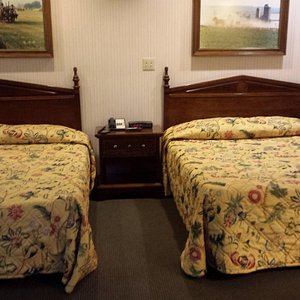 2 queen beds