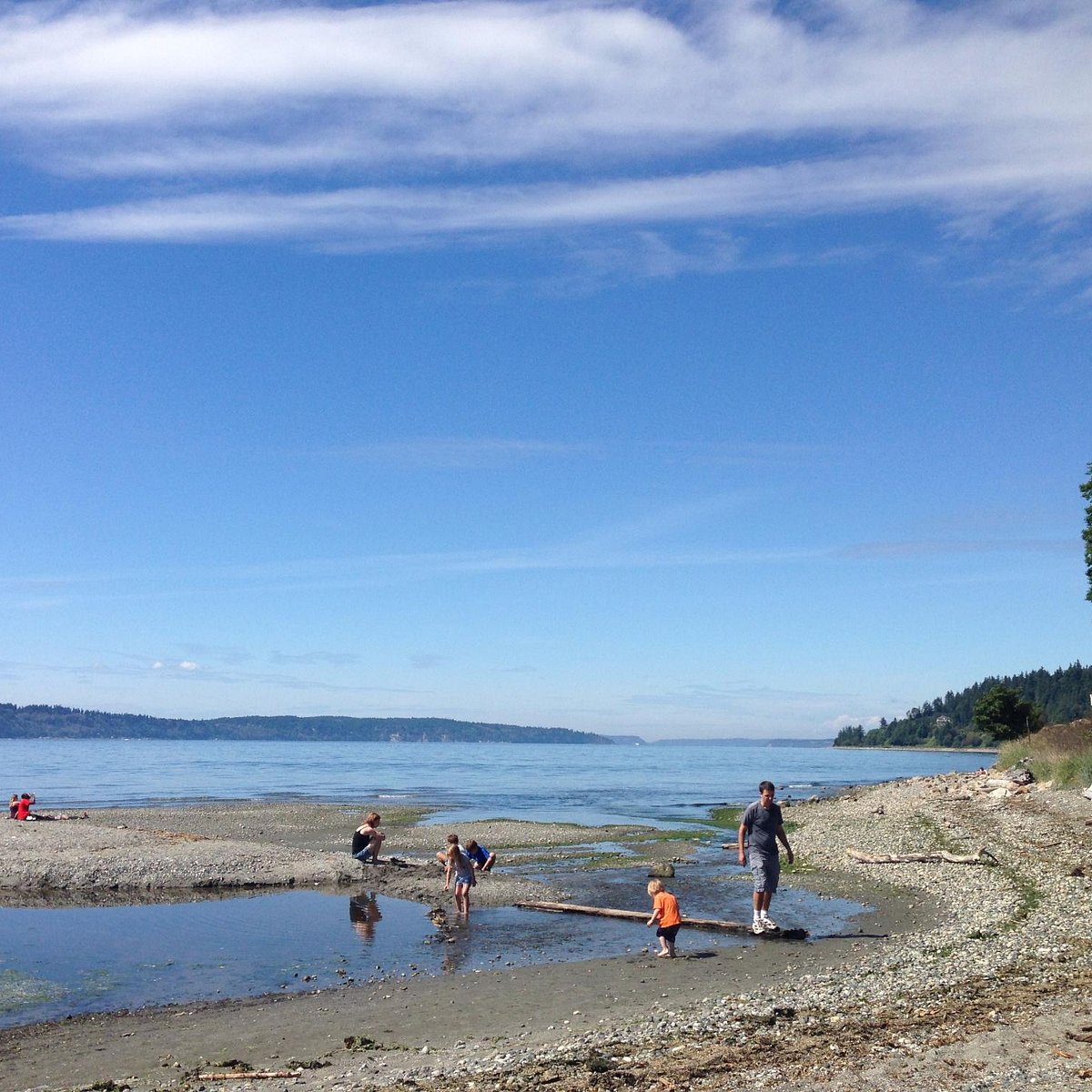 are dogs allowed at edmonds beach