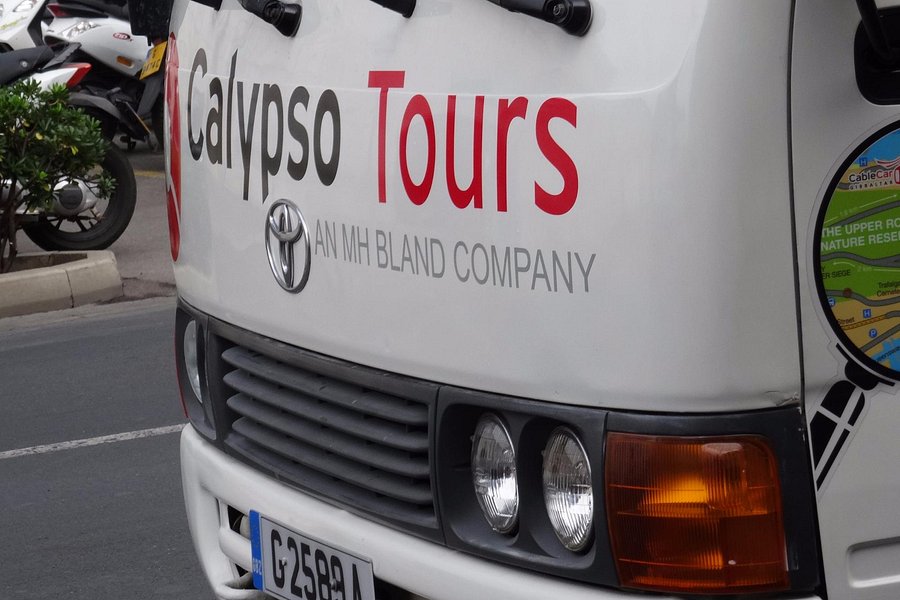 calypso tours reviews