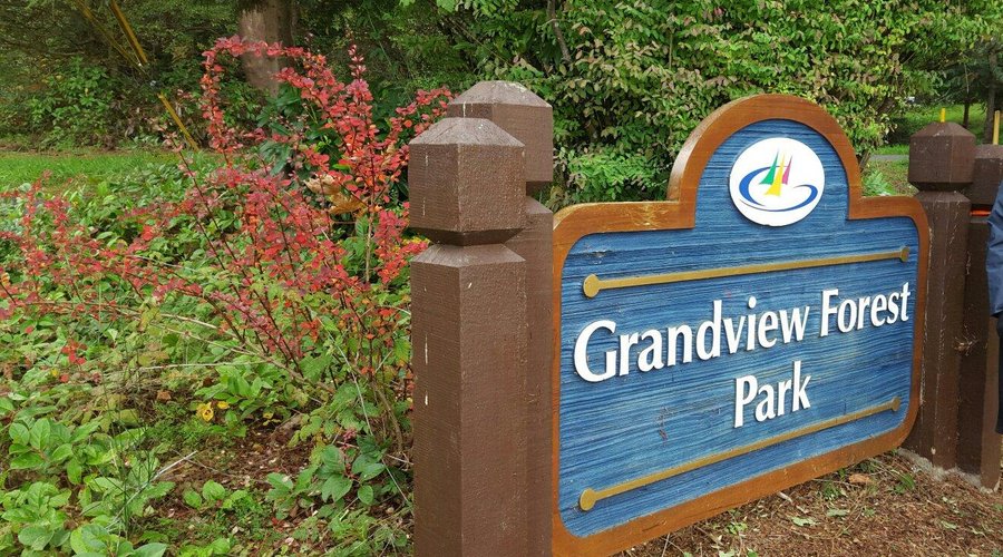 Grandview Forest Park
