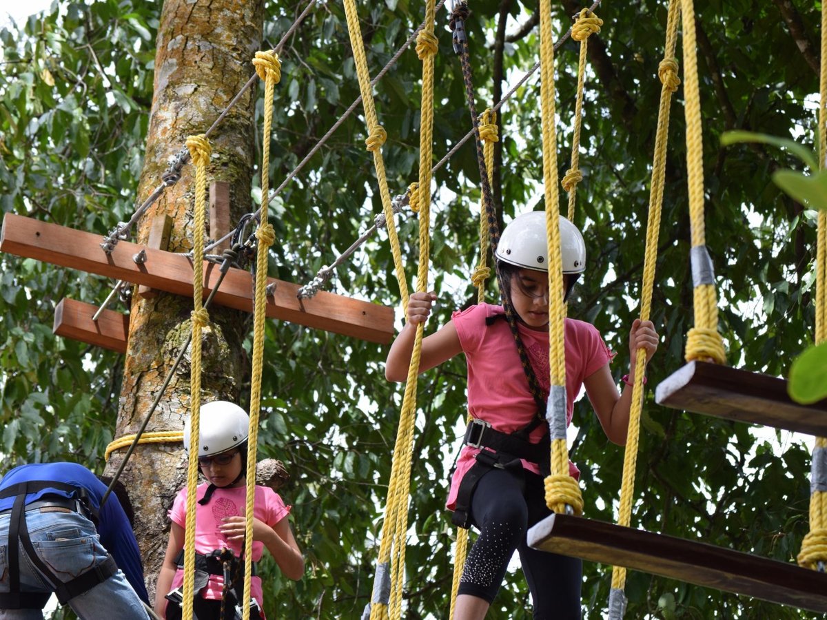 Treetop Adventure Park - All You Need To Know Before You Go (2024)