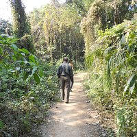 the walk through Chintamani Kar Bird Sanctuary