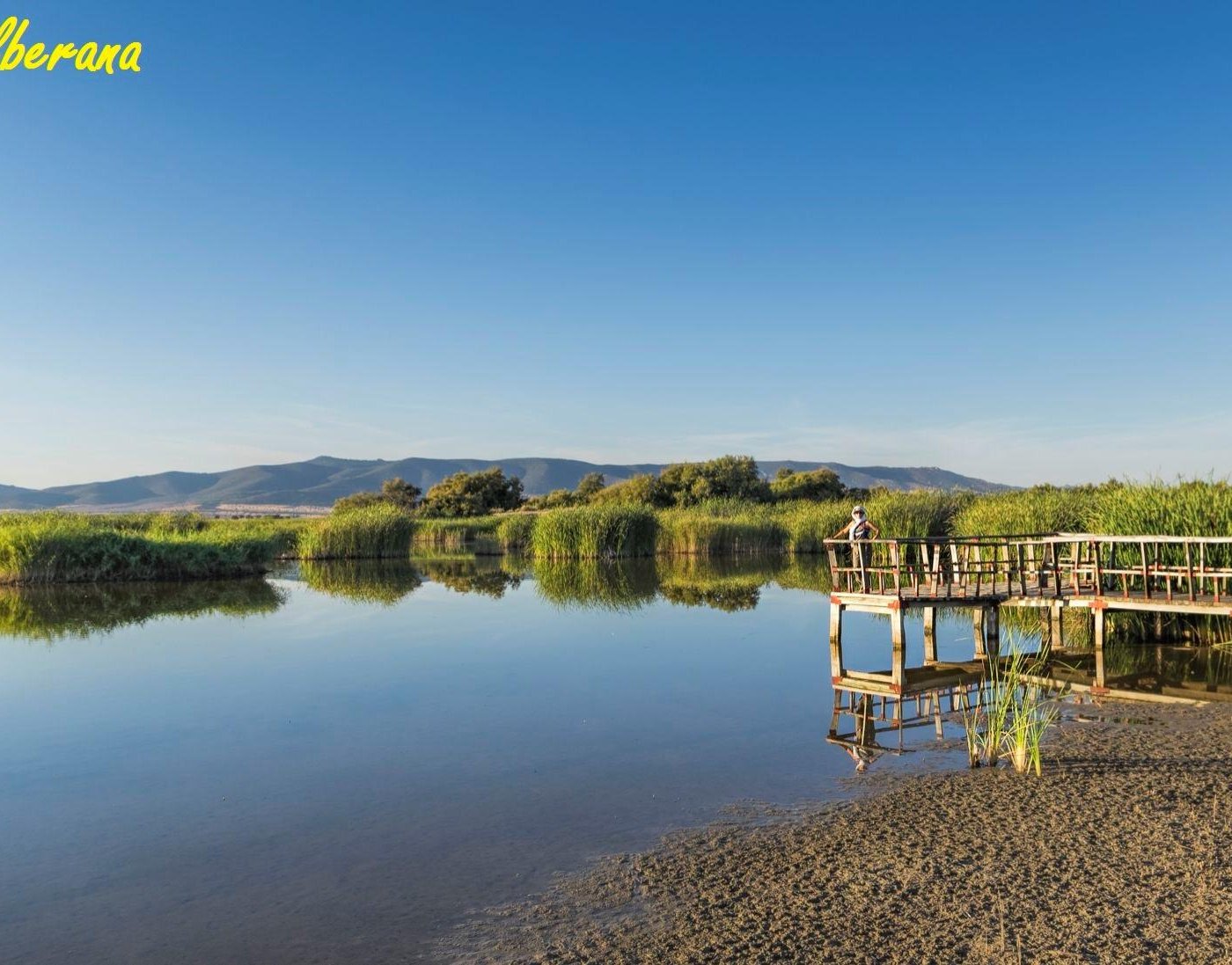 Exploring the Unspoiled Beauty: Eco-Tourism Hotspots in Spain's Countryside - Tablas de Daimiel National Park