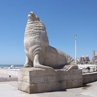Lobo Marino