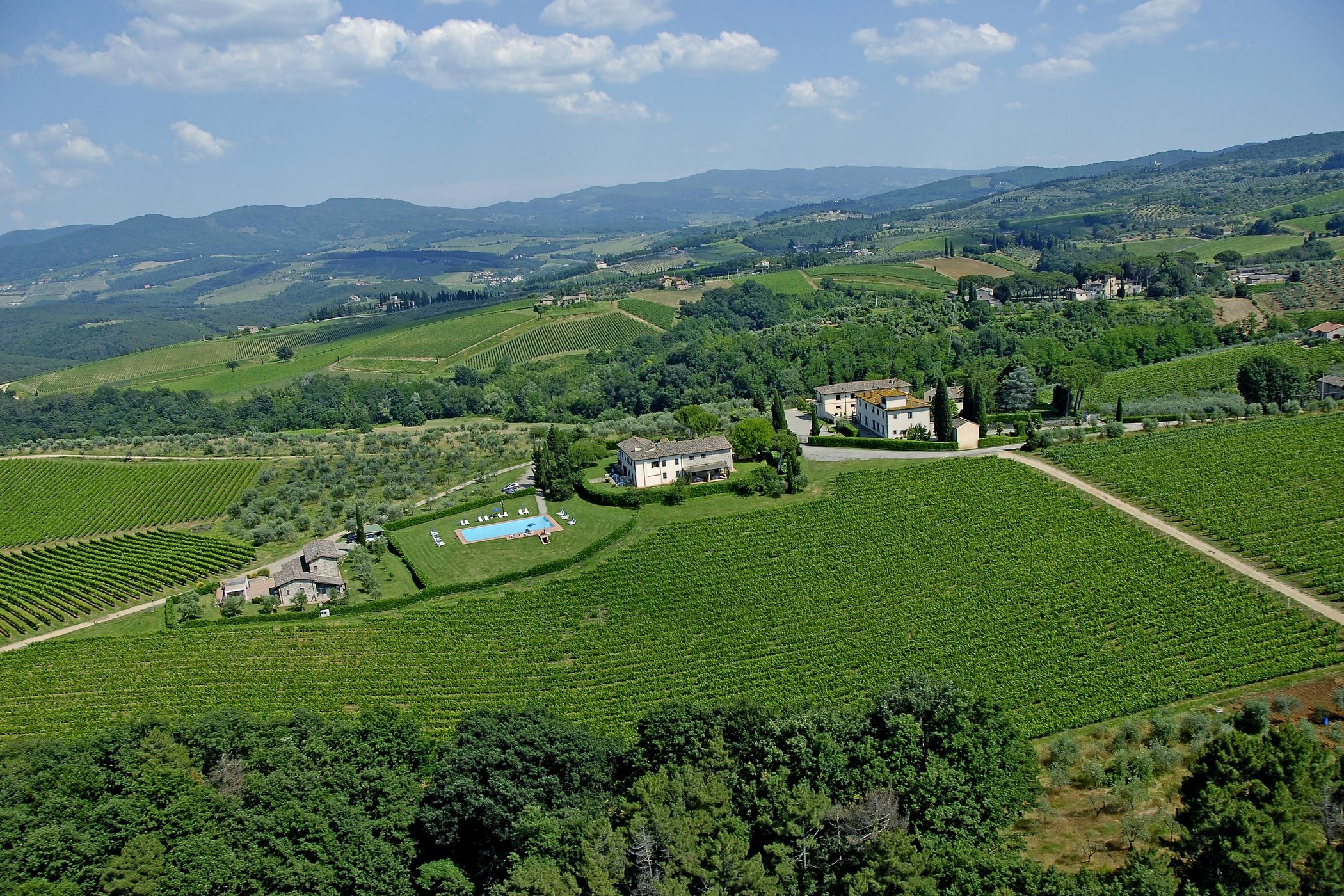 Fattoria Montignana image