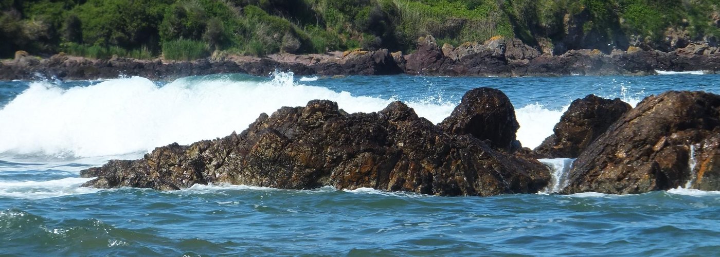 Coldingham Bay. Scottish Borders.