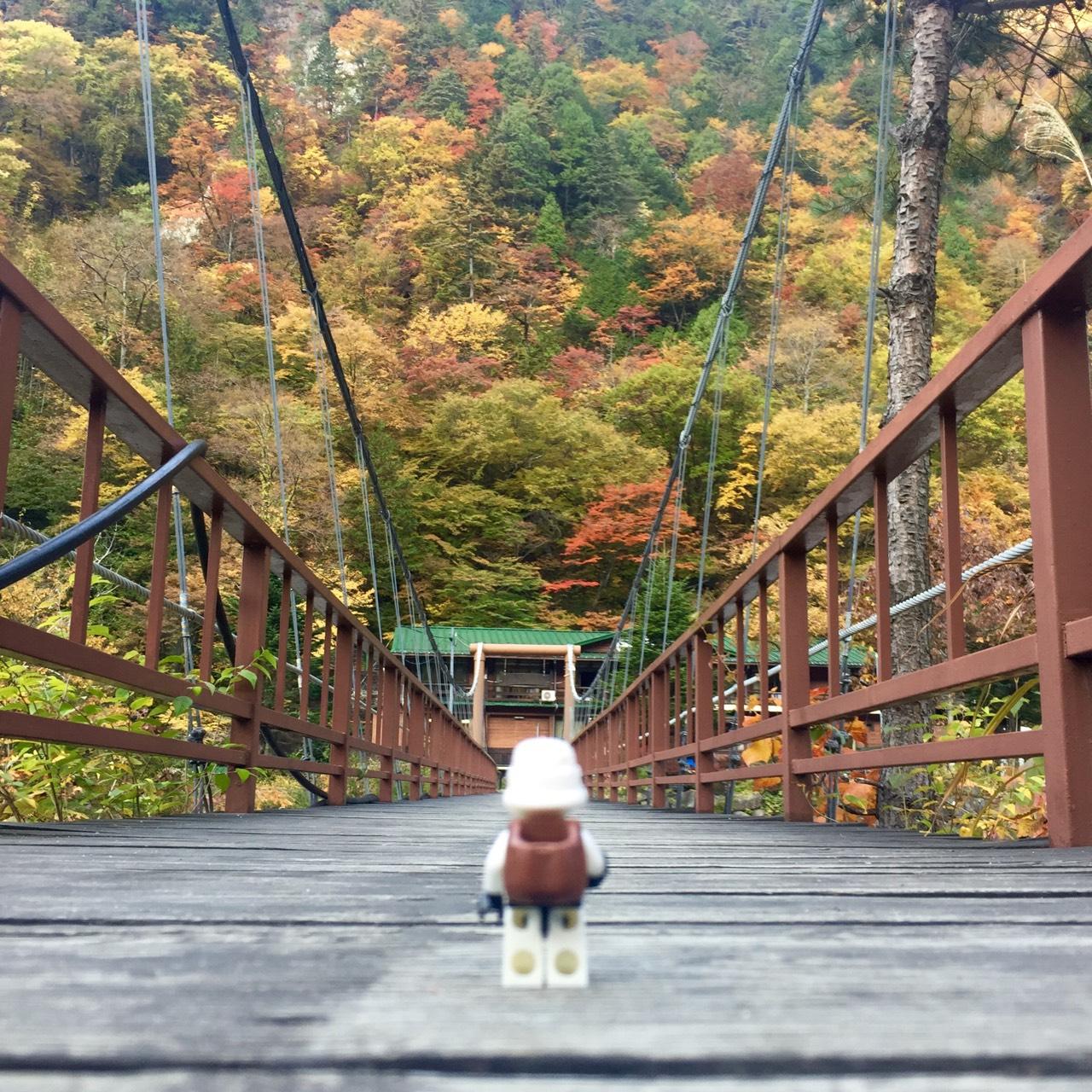 SHINZANSO - Prices & Onsen Ryokan Reviews (Takayama, Japan)