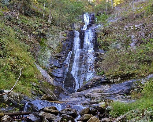 THE BEST 10 Bubble Tea near Linville Falls, NC - Last Updated September  2023 - Yelp