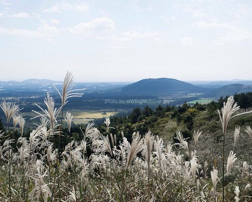 제주도 소재 산: 제주도 소재 5 곳의 산 확인 - 트립어드바이저