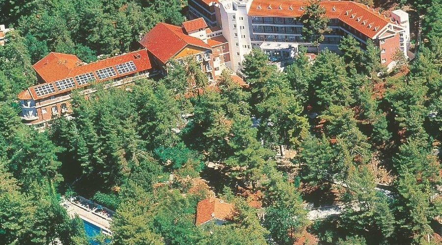 Overview Picture