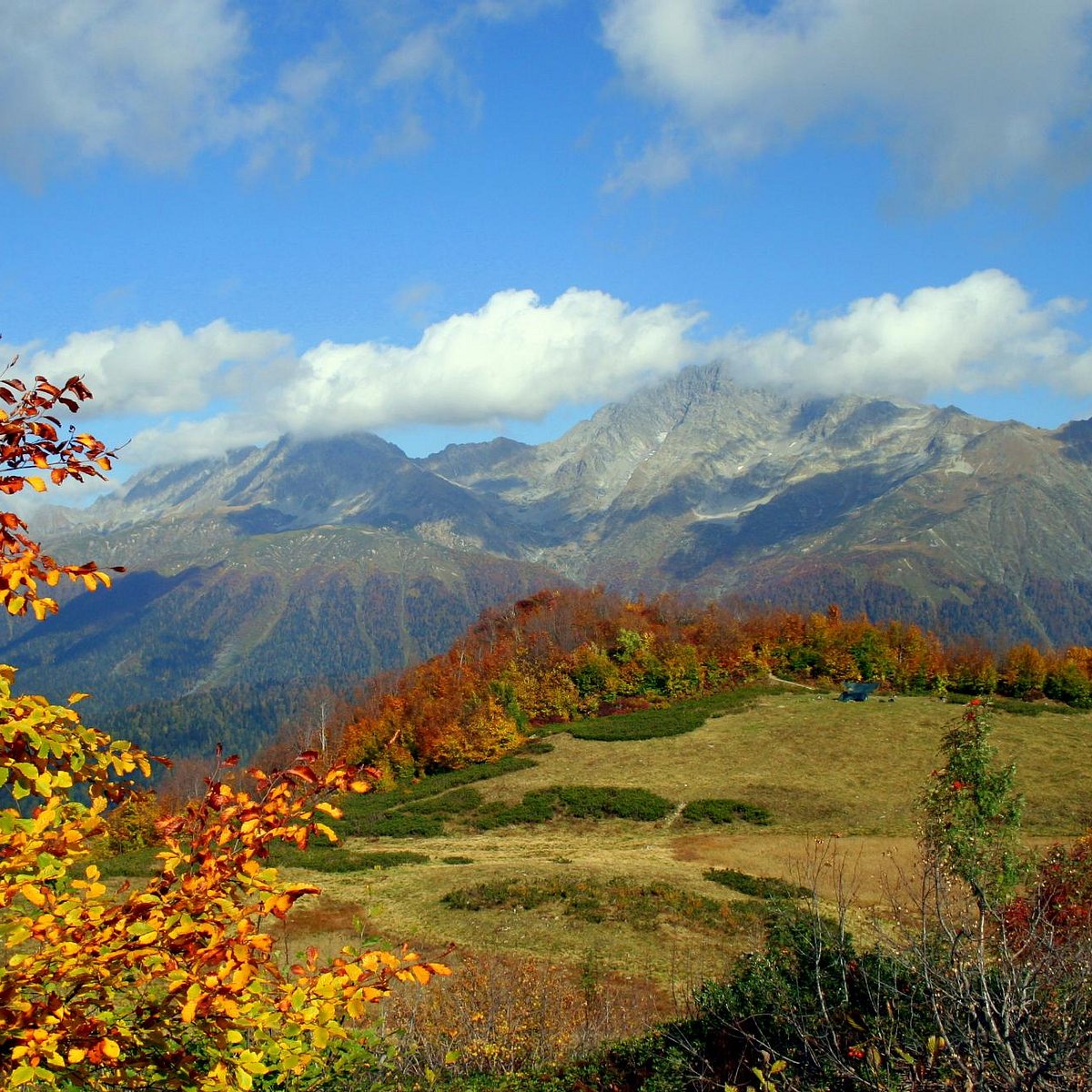 Красная Поляна горы осень