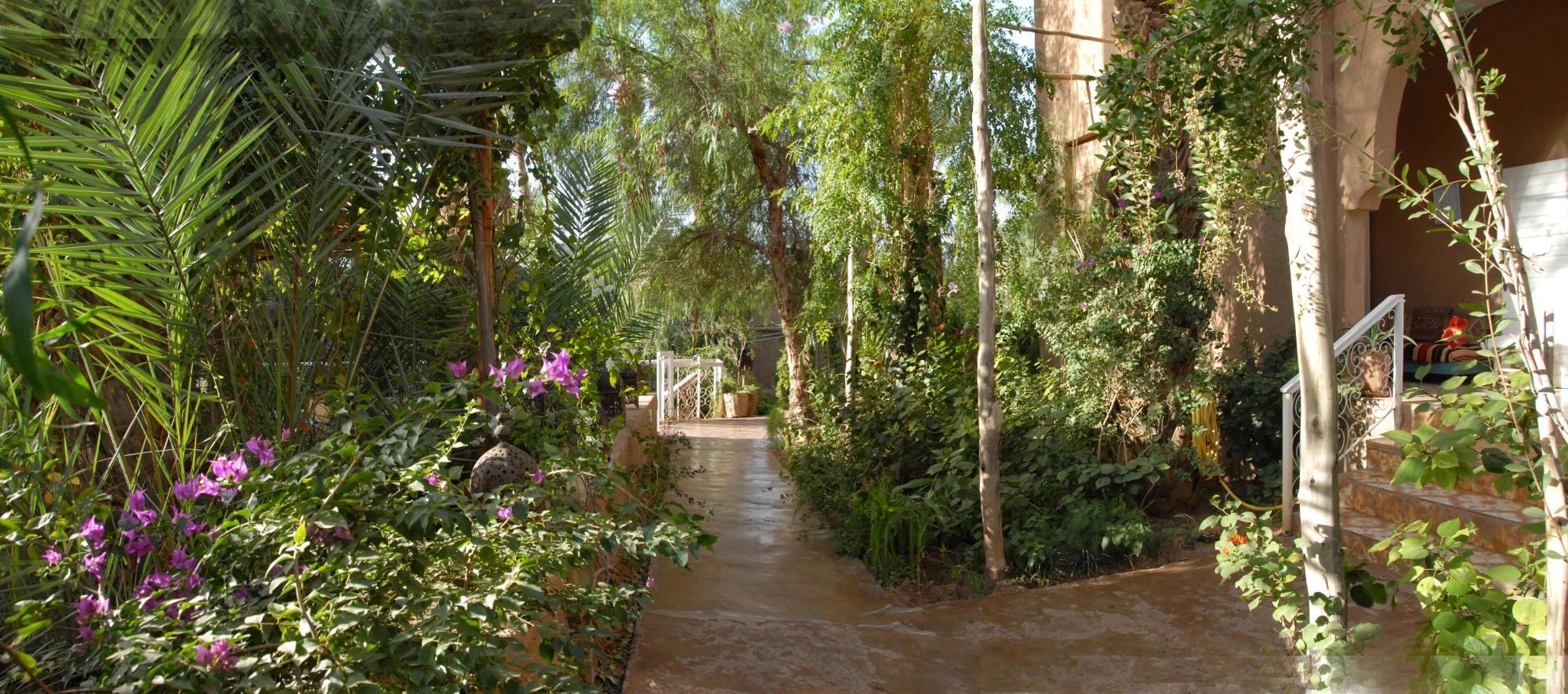 Hotel photo 25 of Villa Zagora Ma Villa au Sahara.